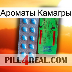 Ароматы Камагры new03